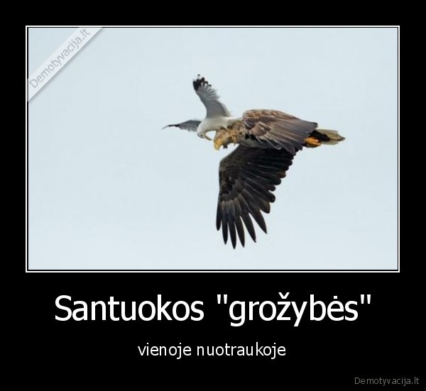 santuoka