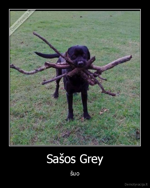 Sašos Grey