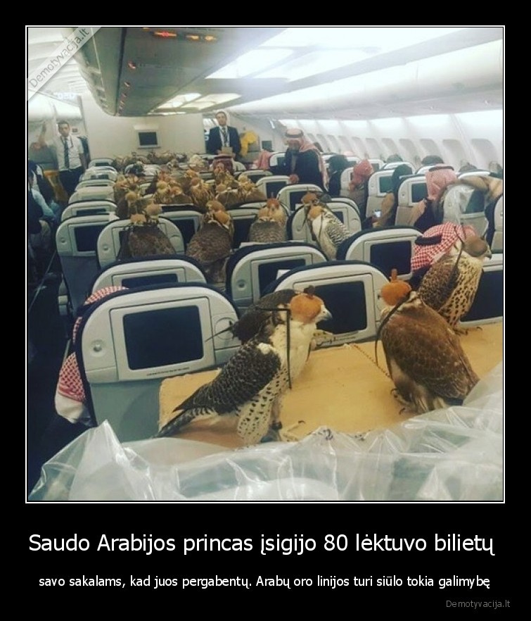 oro, linijos,seichas,princas,sakalai,lektuvas