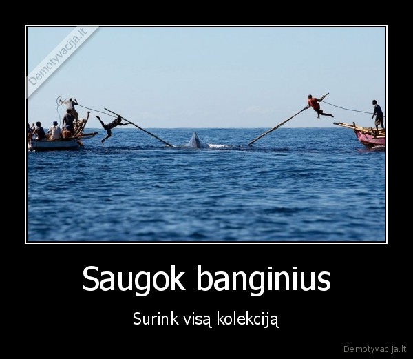 banginis,medziokle
