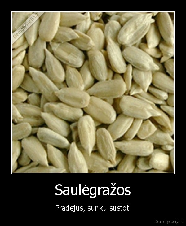 semkes