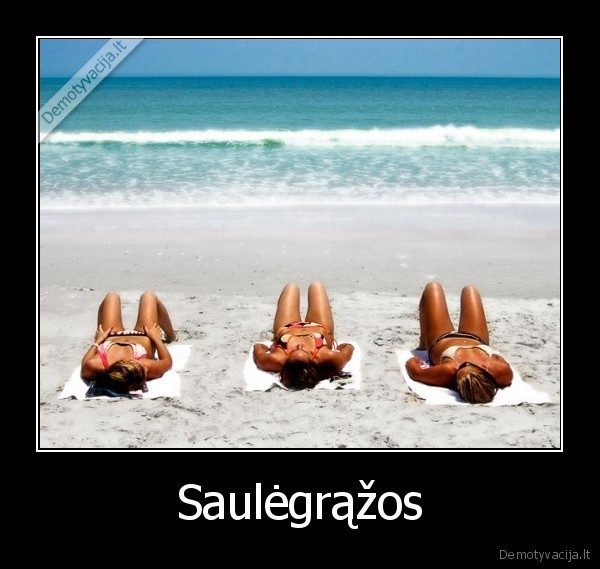 Saulėgrąžos
