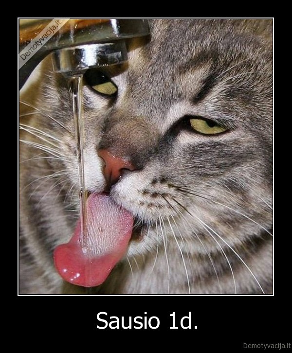 sausio, 1,lakantis, katinas,geriantis, katinas,kate,troskulys