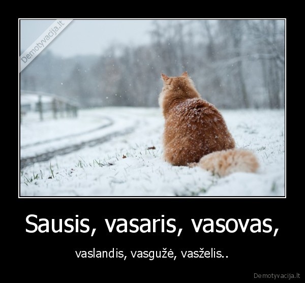 Sausis, vasaris, vasovas,