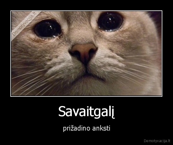 rytas,prizadinti,savaitgalis