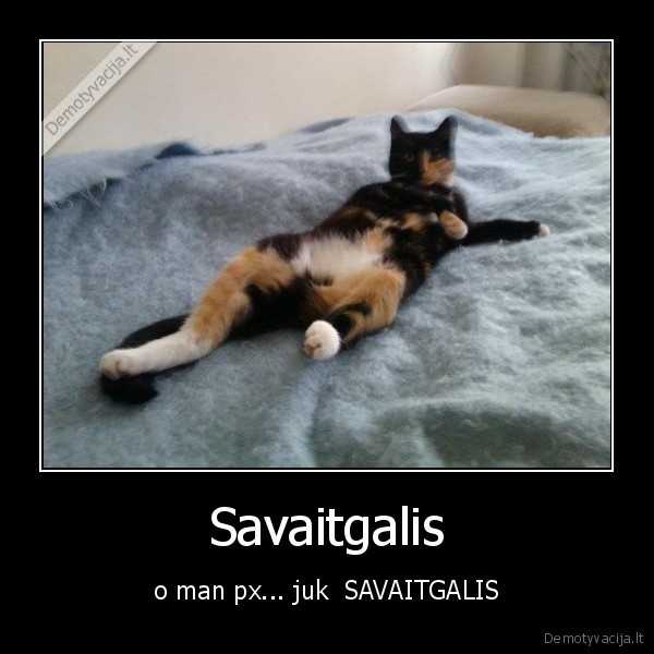 savaitgalis