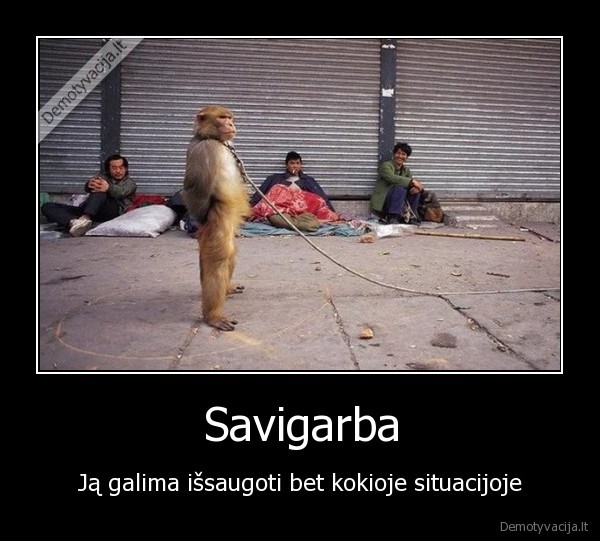 savigarba