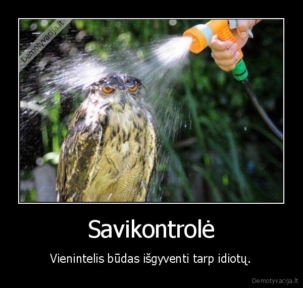 idiotai,savikontrole