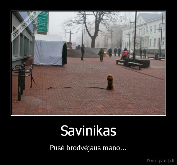 Savinikas