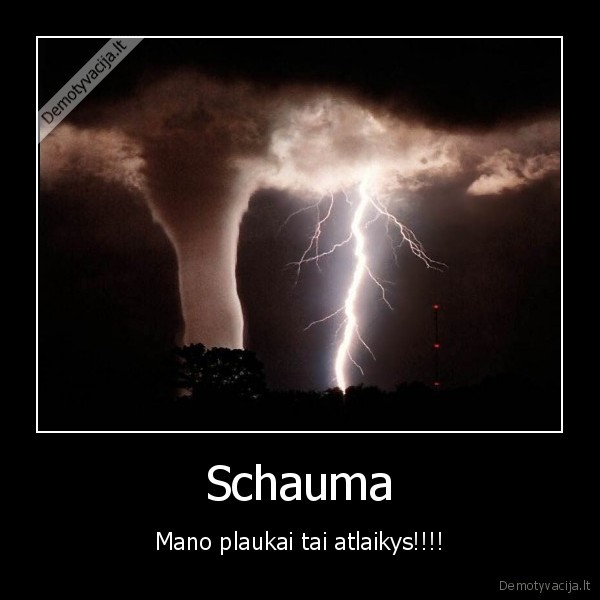 Schauma