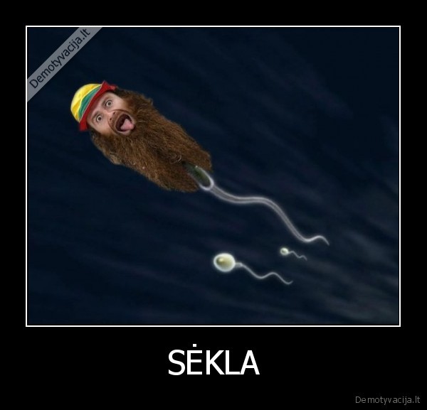 sekla,sportas,krepsinis