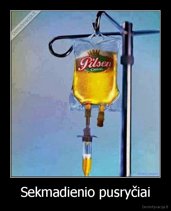 alus,pusryciai