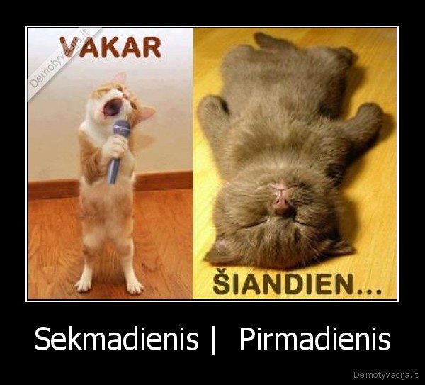 sekmadienis,pirmadienis