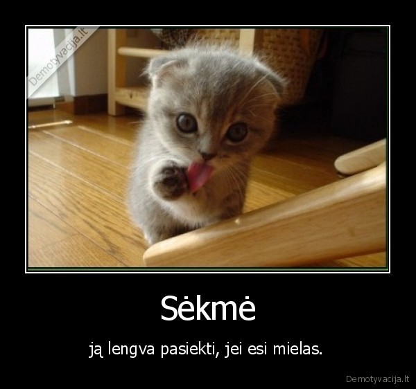 Sėkmė