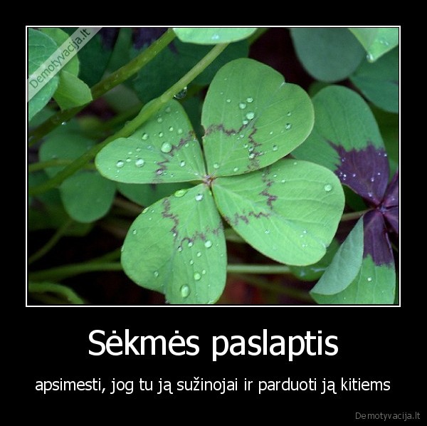 Sėkmės paslaptis