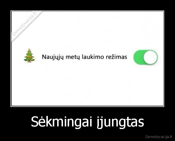 naujakas,naujieji, metai,laukti