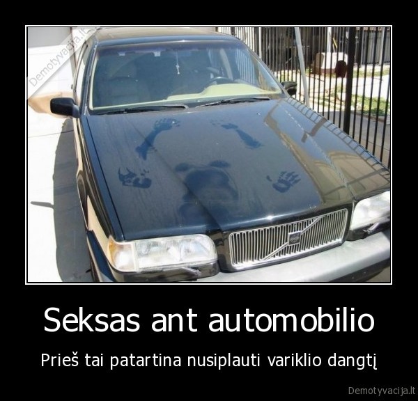 Seksas ant automobilio