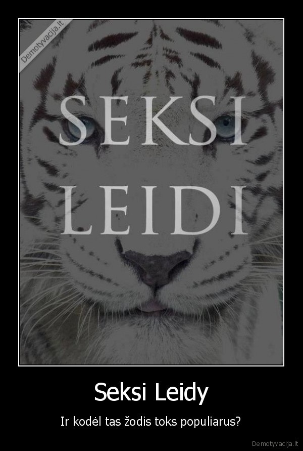 Seksi Leidy