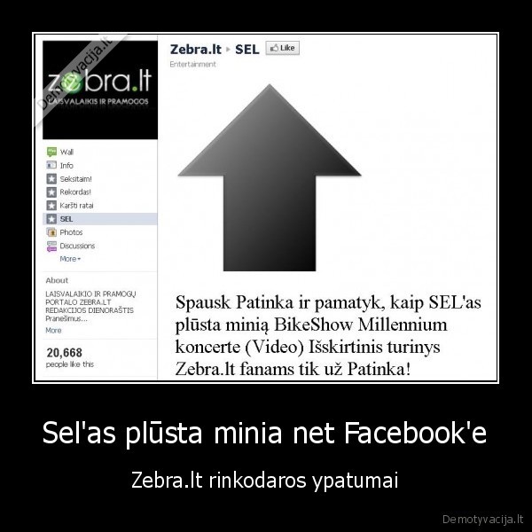 sel, zebra.lt, facebook, likes, bikeshow, milennium, egidijus, dragunas
