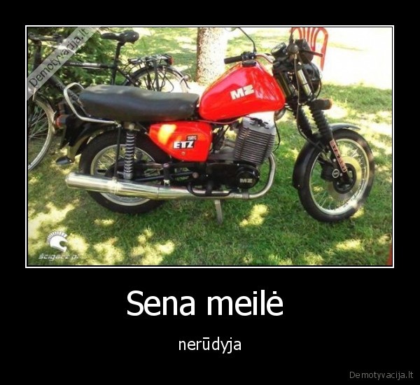 meile,mocas