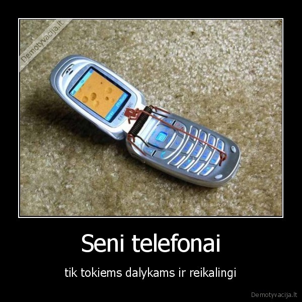suris