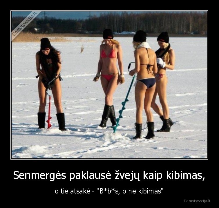 bibiai, po, ledu