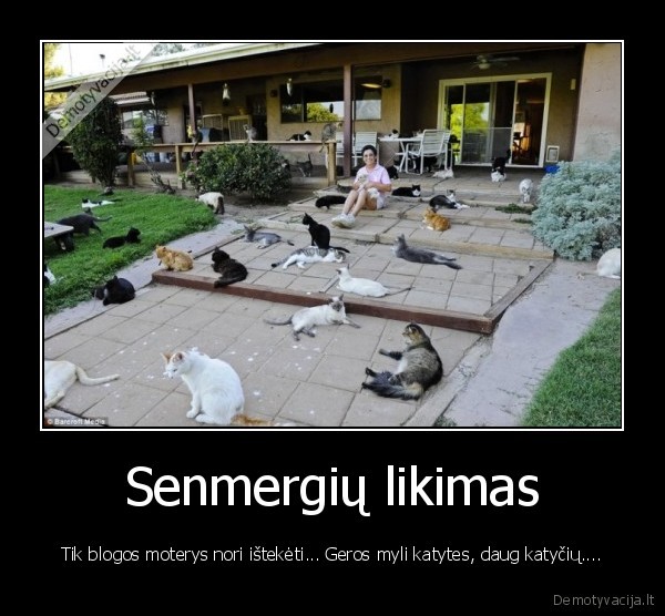 moterys,kates,senmerges