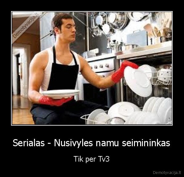 Serialas - Nusivyles namu seimininkas