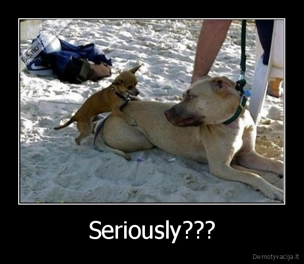 Seriously???