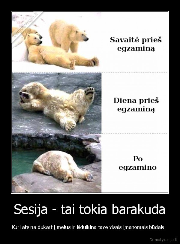 sesija,studentai,egzaminai