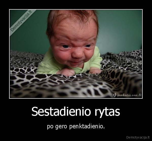 Sestadienio rytas