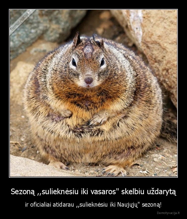 sezonas,suliekneti,vasara,ziema,naujieji