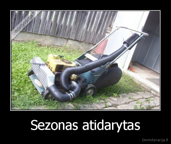 zadintuvas,zoliapjove,rytais,per,atostogas