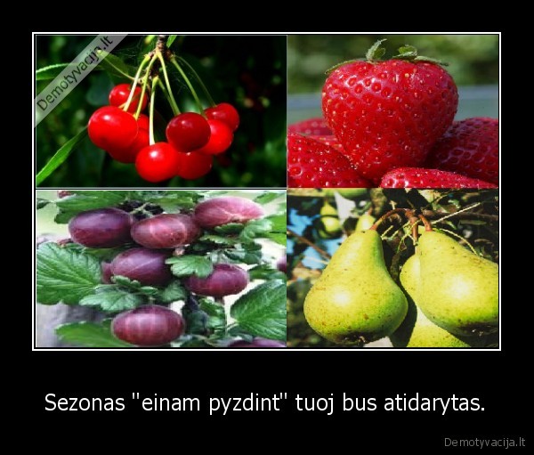 Sezonas &quot;einam pyzdint&quot; tuoj bus atidarytas.