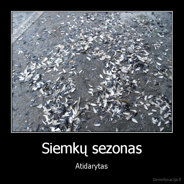 Siemkų sezonas