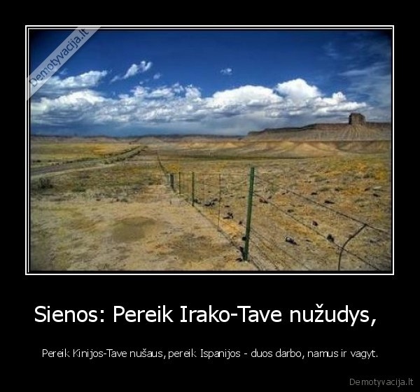 sienos