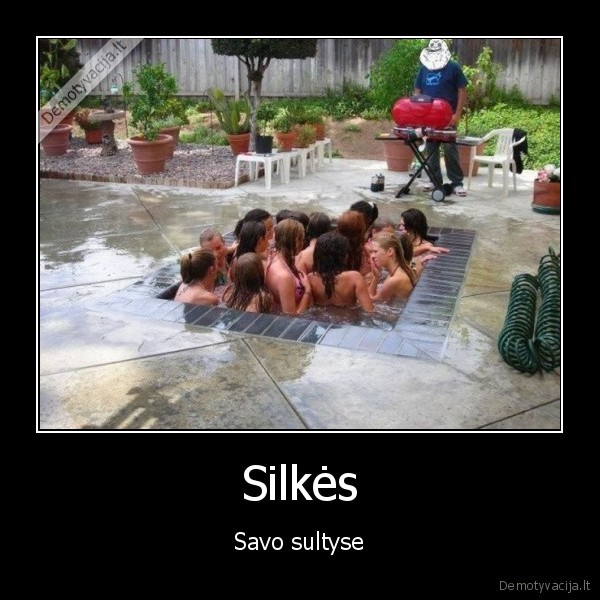 Silkės