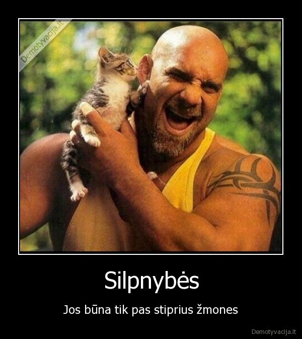 Silpnybės