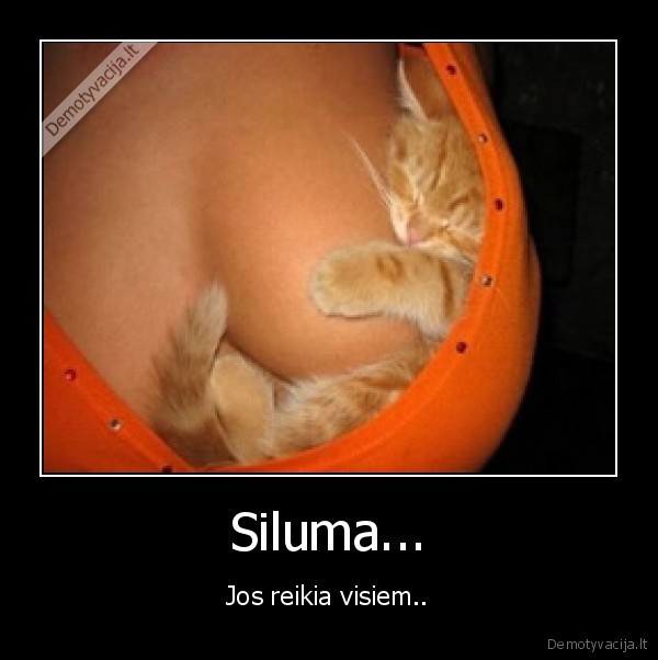 Siluma...