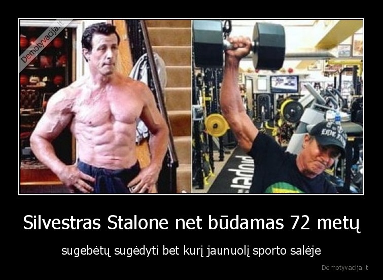 silvestras,stalone,kunas
