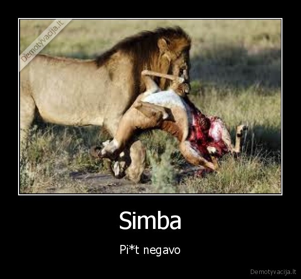 liutas,mesa,valgo,vargse,antilope,kas,seima,ismaitins