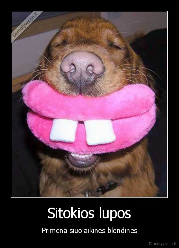 Sitokios lupos