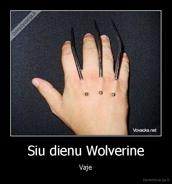 Siu dienu Wolverine