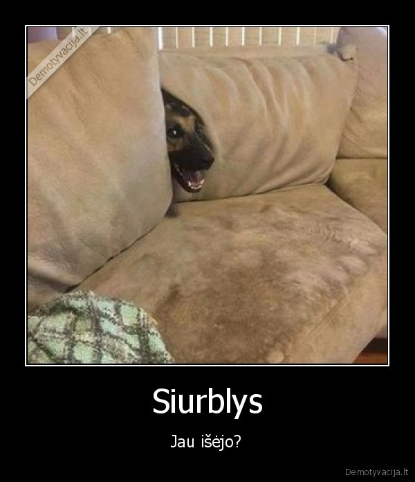 siurblys,siurbia, dulkes,suo, bijo