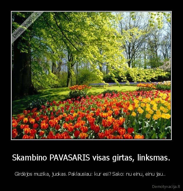 Skambino PAVASARIS visas girtas, linksmas.