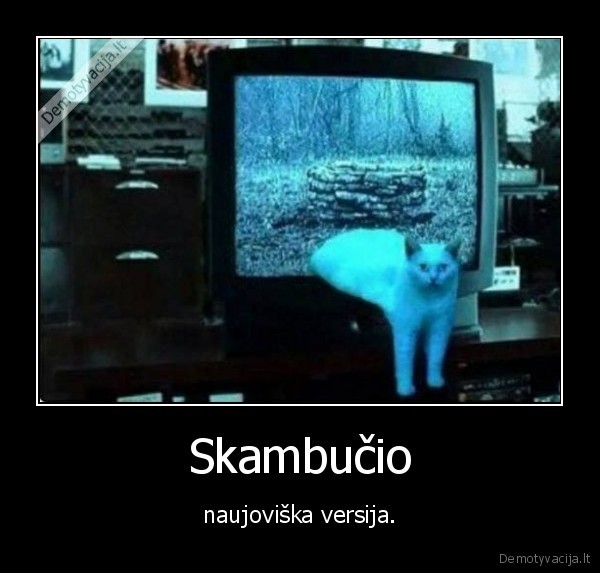 skambutis,katinas,kate