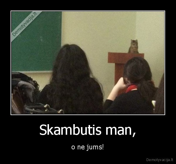 katinas,mokytojas