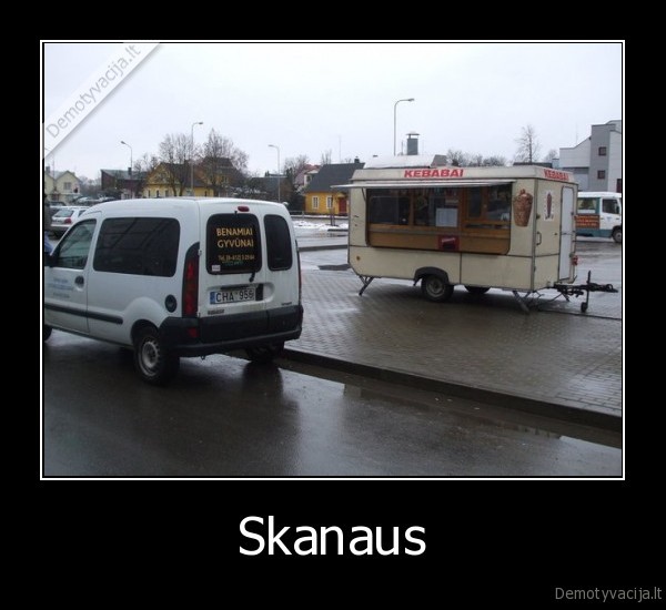 gyvunai,kebabai,kebabai, su, beglobiais, gyvunais