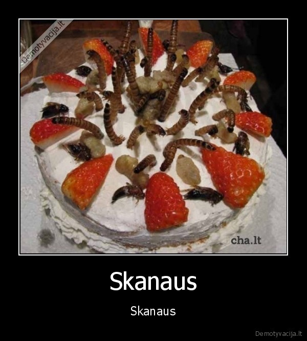 Skanaus