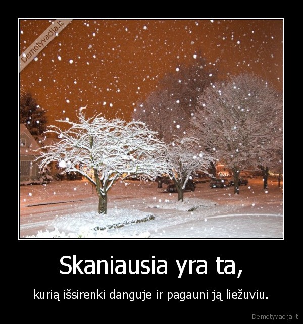 snaige